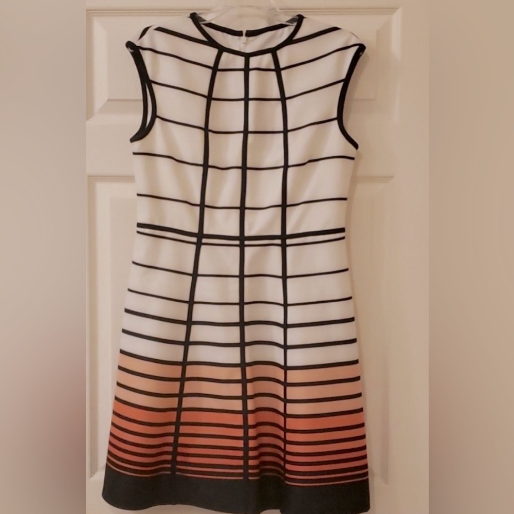 Sandra Darren Sleeveless dress never worn size 12